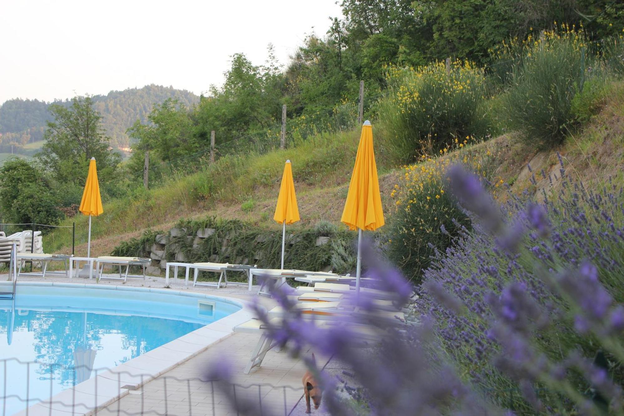 Agriturismo La Valle Del Vento Urbino Exterior photo